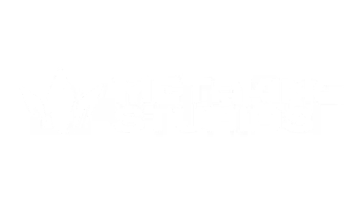 Metaking Studios
