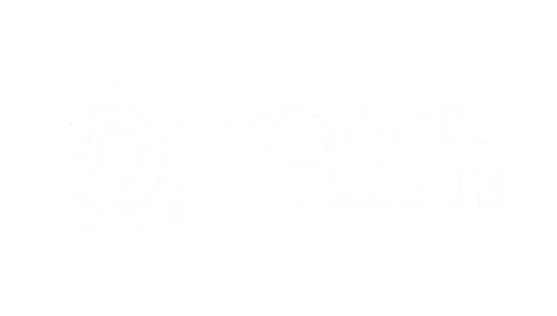 Particle Network